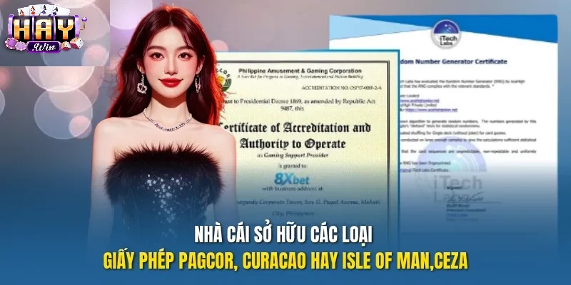 Trách Nhiệm Tuân Thủ & Hệ Thống Máy Chủ Quốc Tế